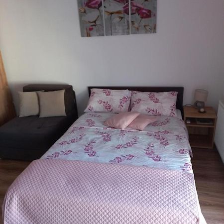 Apartman Moka Banja Koviljača Εξωτερικό φωτογραφία